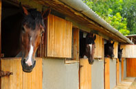 free Bont Fawr stable construction quotes